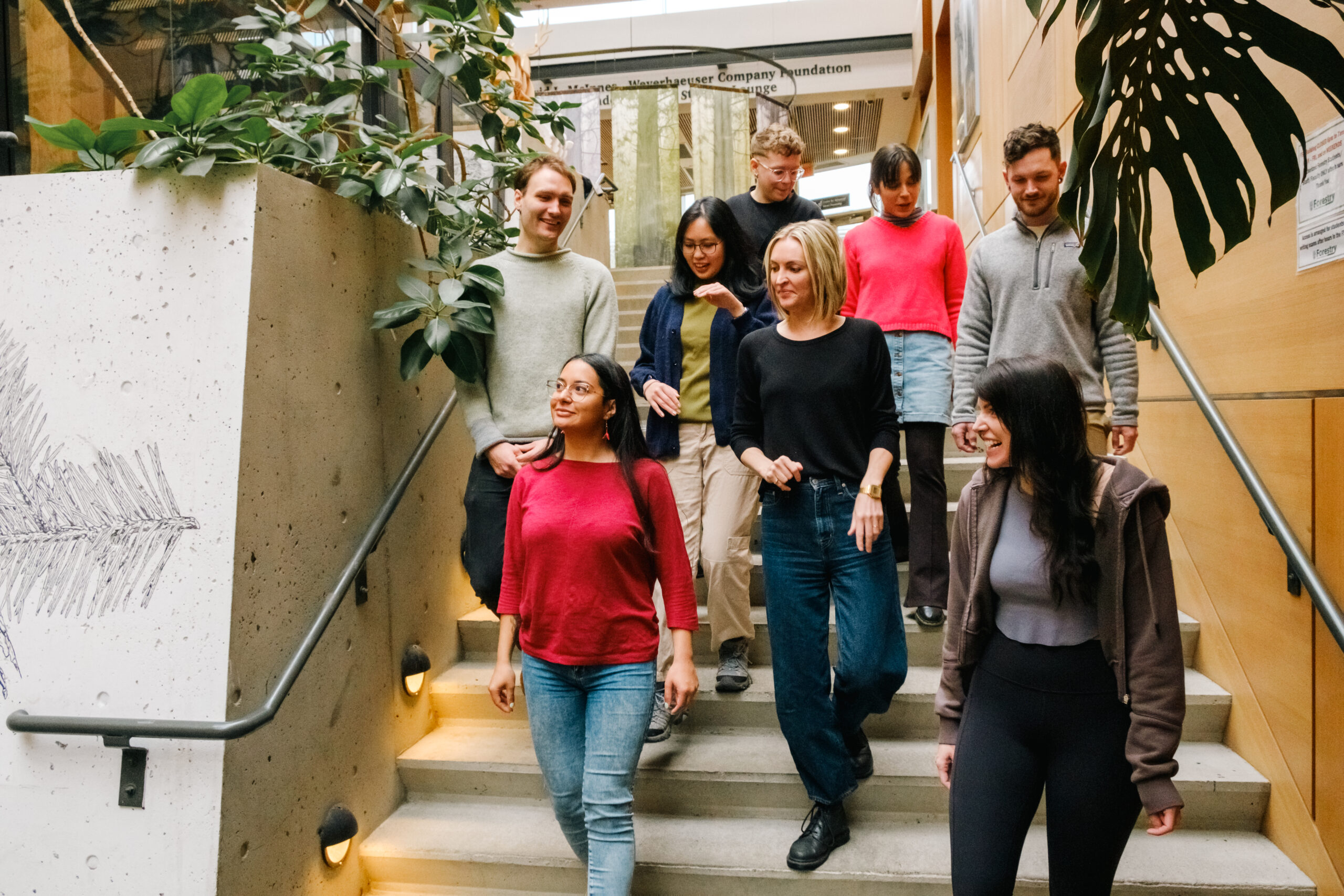 54458994800_dd41df8e9c_o